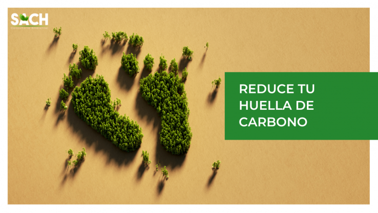 Reduce tu huella de carbono - SACH Consultoría Ambiental